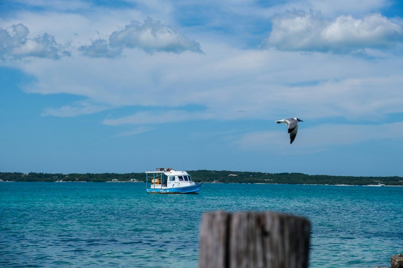 Eleuthera & Harbour Island