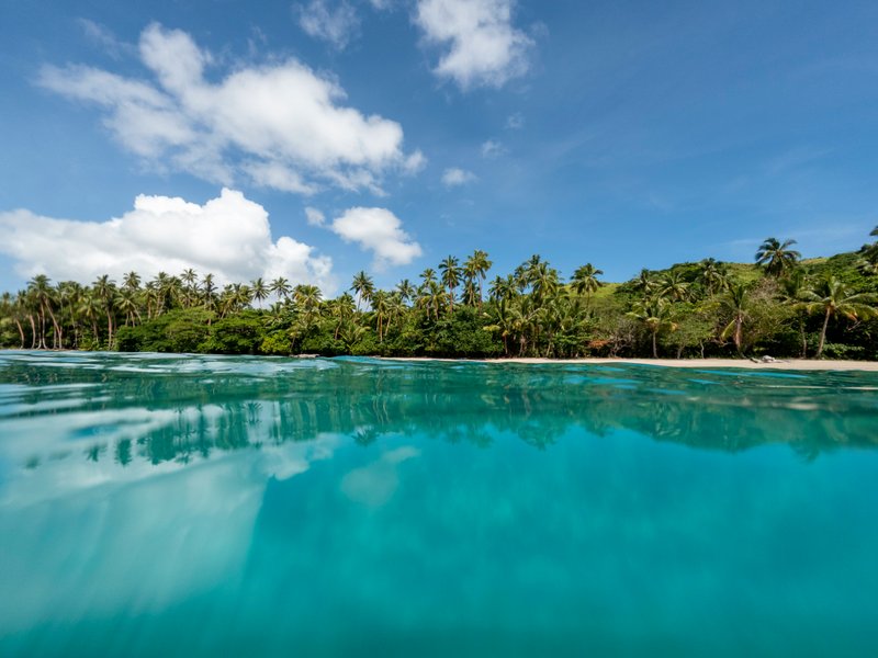 Vanua Levu & Taveuni