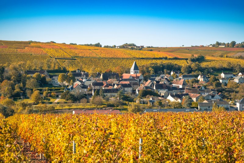 Côte d'Or Wine Villages