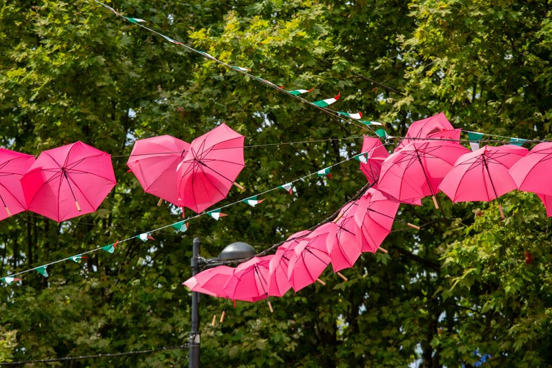 Grasse & the Hinterland