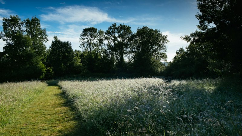 Winchester & Hampshire