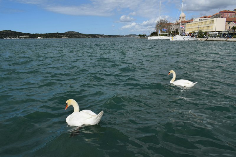 Šibenik