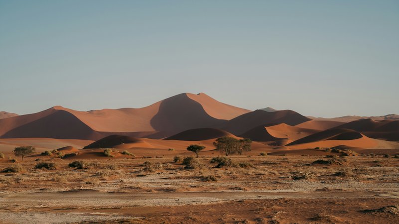 Dordabis
