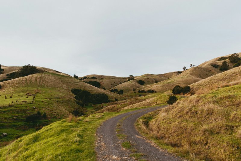 Coromandel Peninsula
